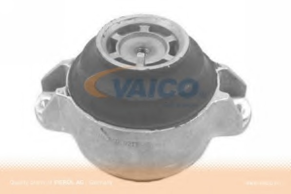 V301221 VAICO