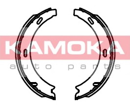 JQ212041 KAMOKA