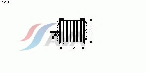 MS2443 AVA QUALITY COOLING