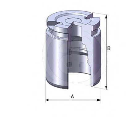 D02519 AUTOFREN SEINSA