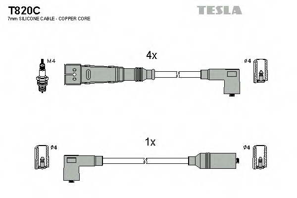 T820C TESLA