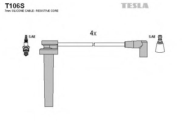 T106S TESLA