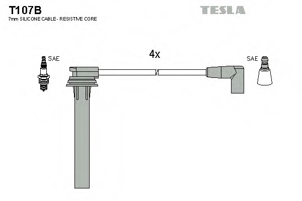 T107B TESLA