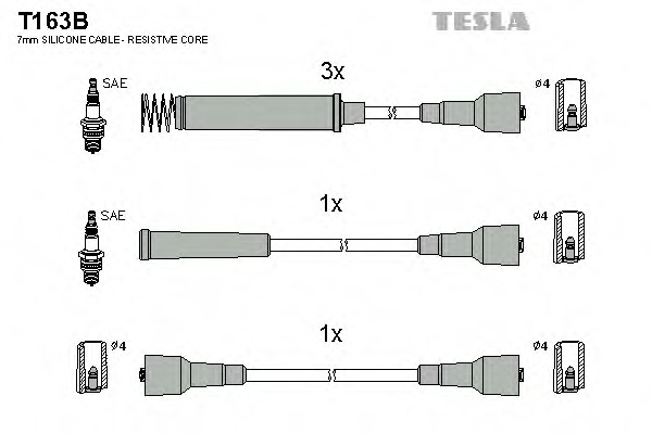 T163B TESLA