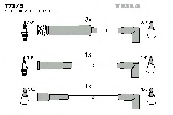 T287B TESLA