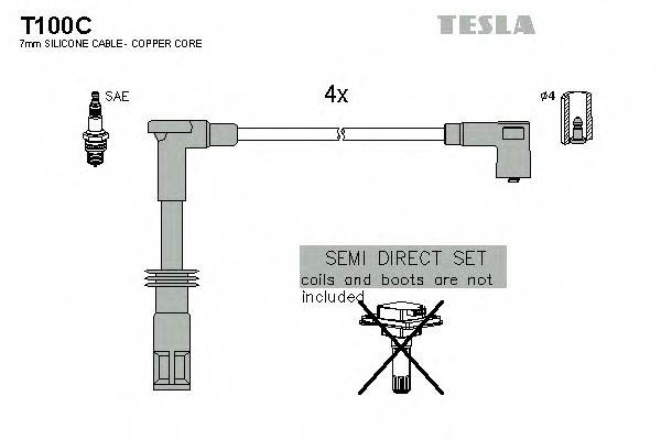 T100C TESLA