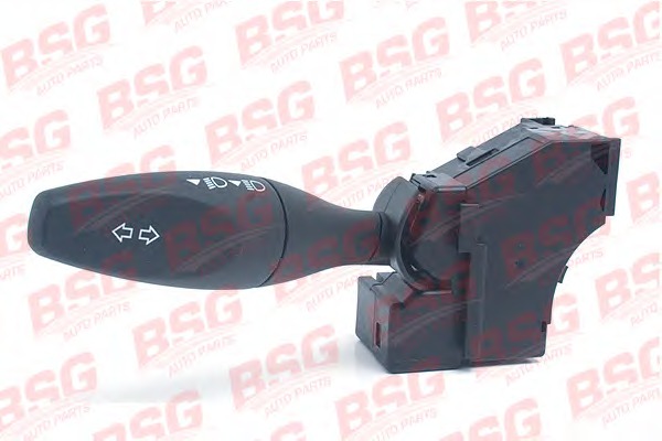 BSG30855003 BSG