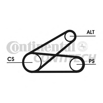 6PK873ELASTT1 CONTITECH