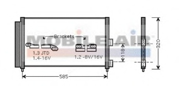 17005289 VAN WEZEL