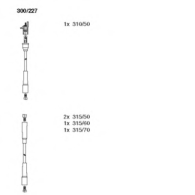 300227 BREMI