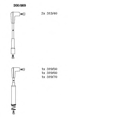 300869 BREMI