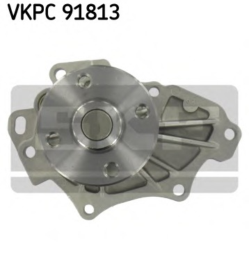 VKPC91813 SKF