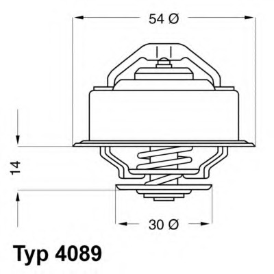 408982D WAHLER