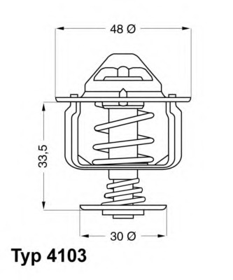 410382D WAHLER