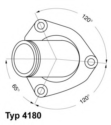 418082D WAHLER