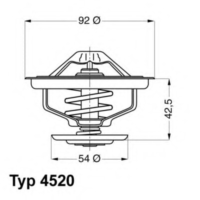 452080D WAHLER