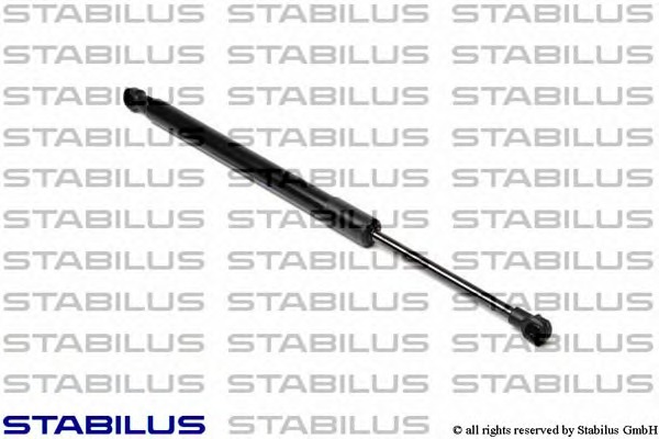 030787 STABILUS