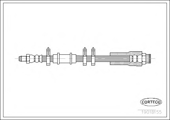 19018155 CORTECO