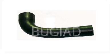 85610 BUGIAD