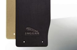 C2Z8845AMT Jaguar     Oyster (-)   Ivory...